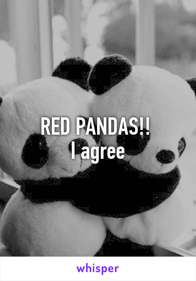 RED PANDAS!! 
I agree