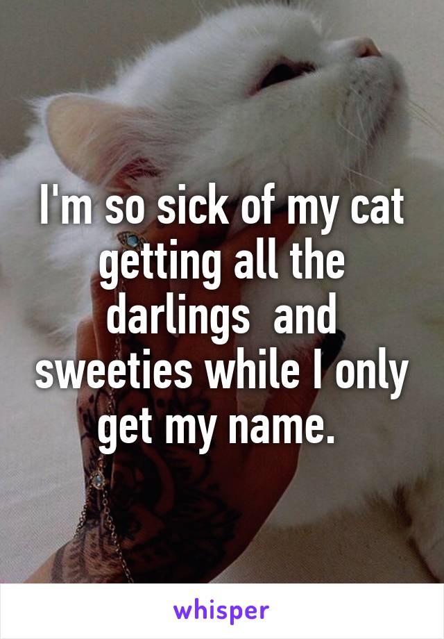 I'm so sick of my cat getting all the darlings  and sweeties while I only get my name. 