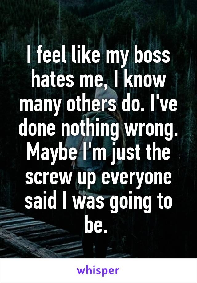 I feel like my boss hates me, I know many others do. I've done nothing wrong. Maybe I'm just the screw up everyone said I was going to be. 