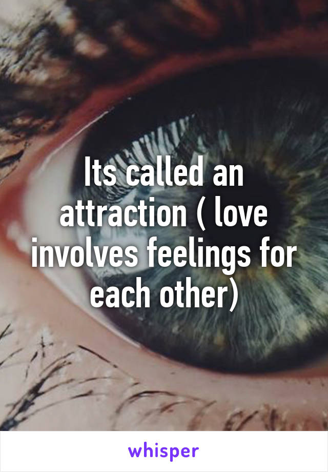 Its called an attraction ( love involves feelings for each other)