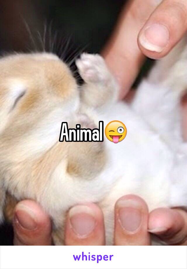 Animal😜