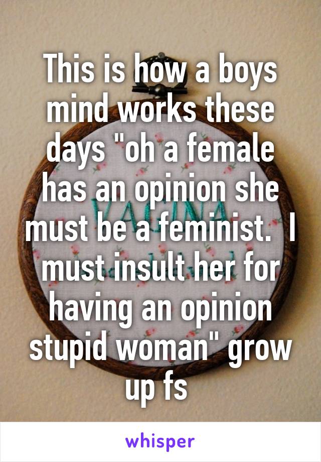 This is how a boys mind works these days "oh a female has an opinion she must be a feminist.  I must insult her for having an opinion stupid woman" grow up fs 