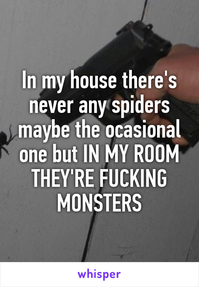 In my house there's never any spiders maybe the ocasional one but IN MY ROOM THEY'RE FUCKING MONSTERS