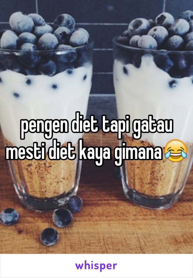 pengen diet tapi gatau mesti diet kaya gimana😂