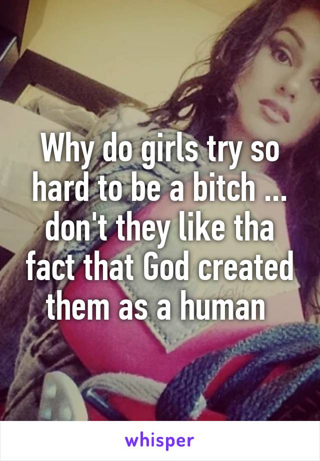 Why do girls try so hard to be a bitch ... don't they like tha fact that God created them as a human 