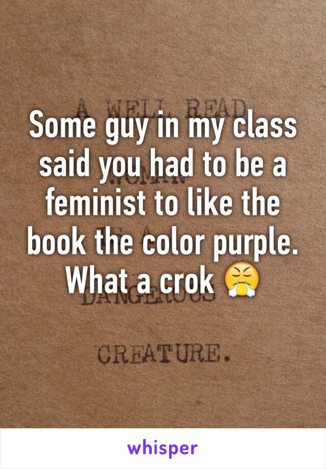 Some guy in my class said you had to be a feminist to like the book the color purple. What a crok 😤