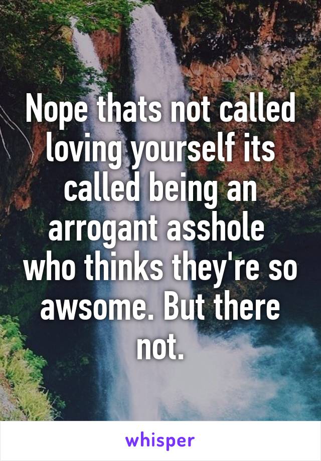 Nope thats not called loving yourself its called being an arrogant asshole  who thinks they're so awsome. But there not.