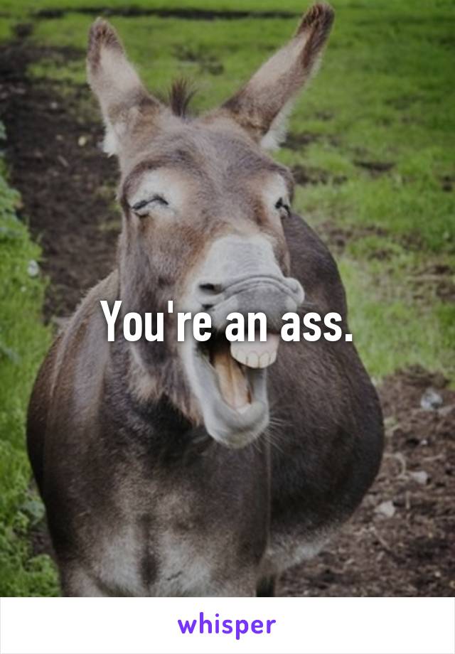 You're an ass.