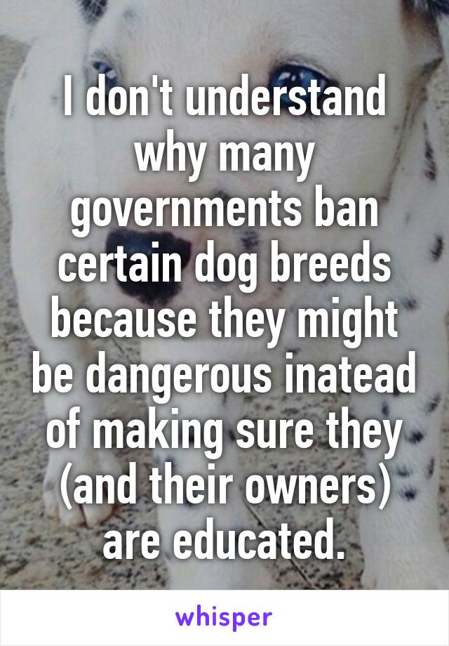 I don't understand why many governments ban certain dog breeds because they might be dangerous inatead of making sure they (and their owners) are educated.