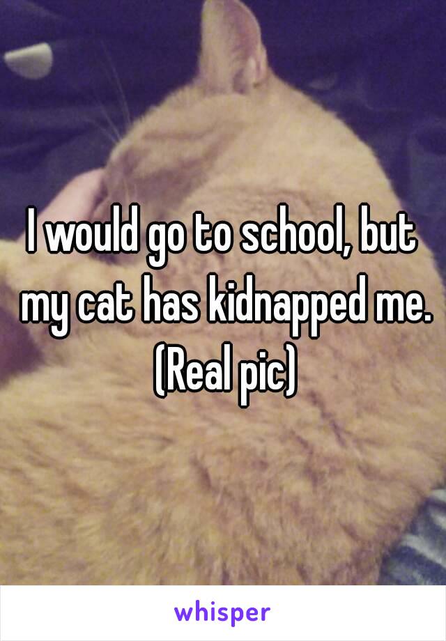 I would go to school, but my cat has kidnapped me. (Real pic)