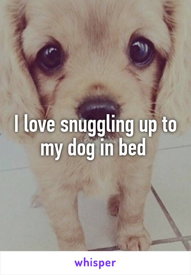 I love snuggling up to my dog in bed 