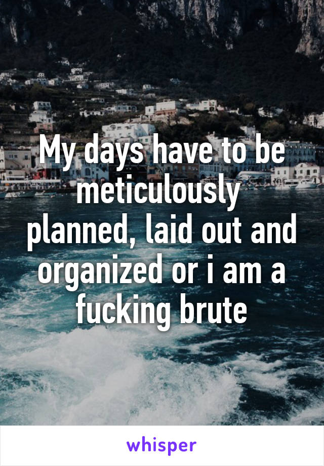 My days have to be meticulously  planned, laid out and organized or i am a fucking brute