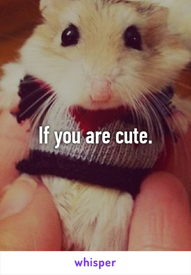 If you are cute.