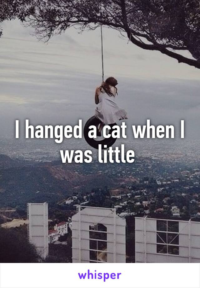 I hanged a cat when I was little 