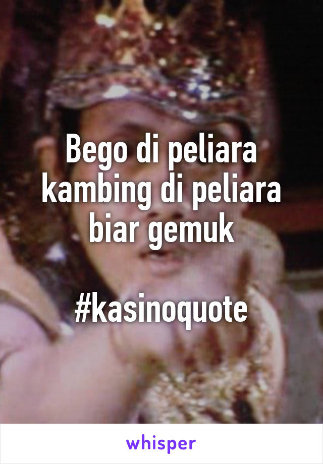 Bego di peliara kambing di peliara biar gemuk

#kasinoquote