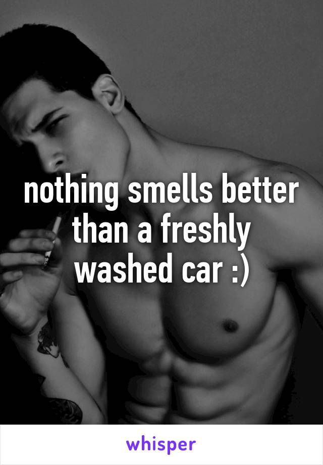 nothing smells better than a freshly washed car :)