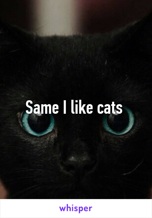 Same I like cats 