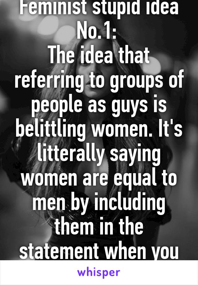 Feminist stupid idea No.1: 
The idea that referring to groups of people as guys is belittling women. It's litterally saying women are equal to men by including them in the statement when you say guys.