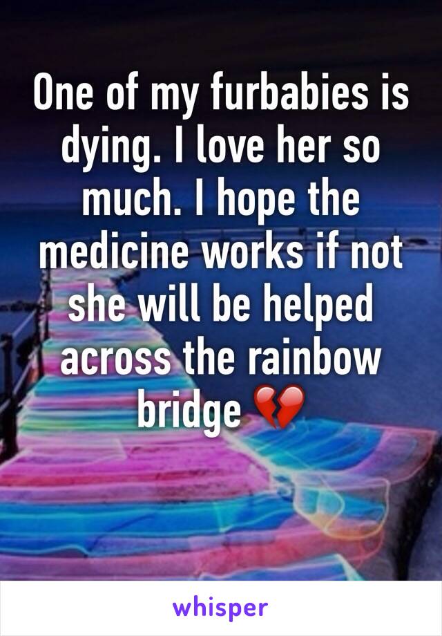 One of my furbabies is dying. I love her so much. I hope the medicine works if not she will be helped across the rainbow bridge 💔