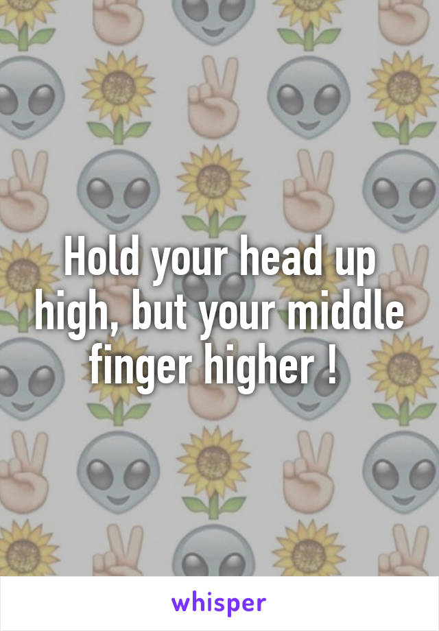 Hold your head up high, but your middle finger higher ! 