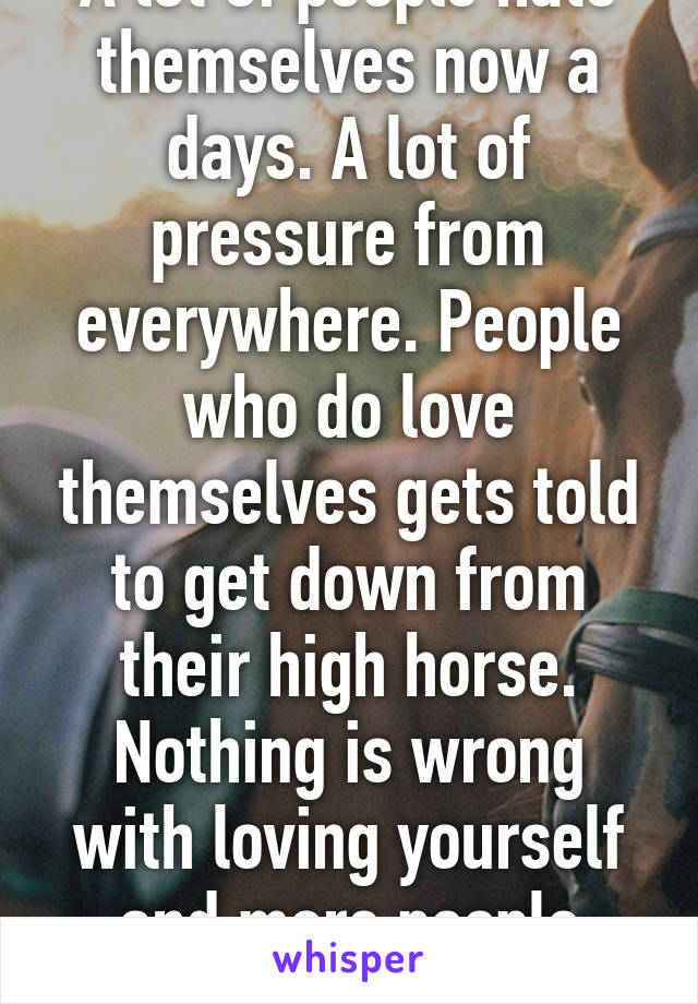 A lot of people hate themselves now a days. A lot of pressure from everywhere. People who do love themselves gets told to get down from their high horse. Nothing is wrong with loving yourself and more people should