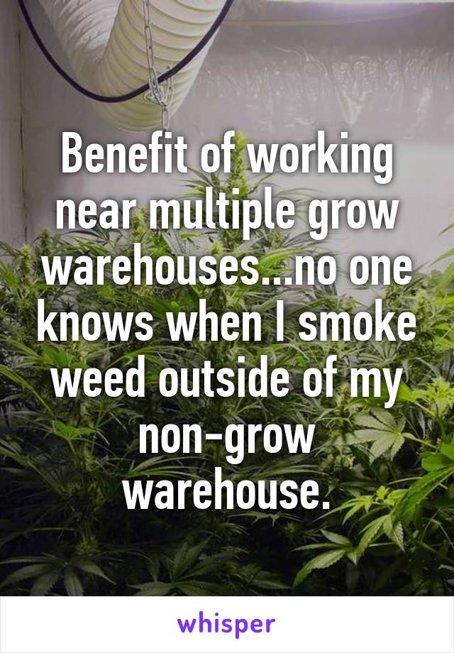 Benefit of working near multiple grow warehouses...no one knows when I smoke weed outside of my non-grow warehouse.