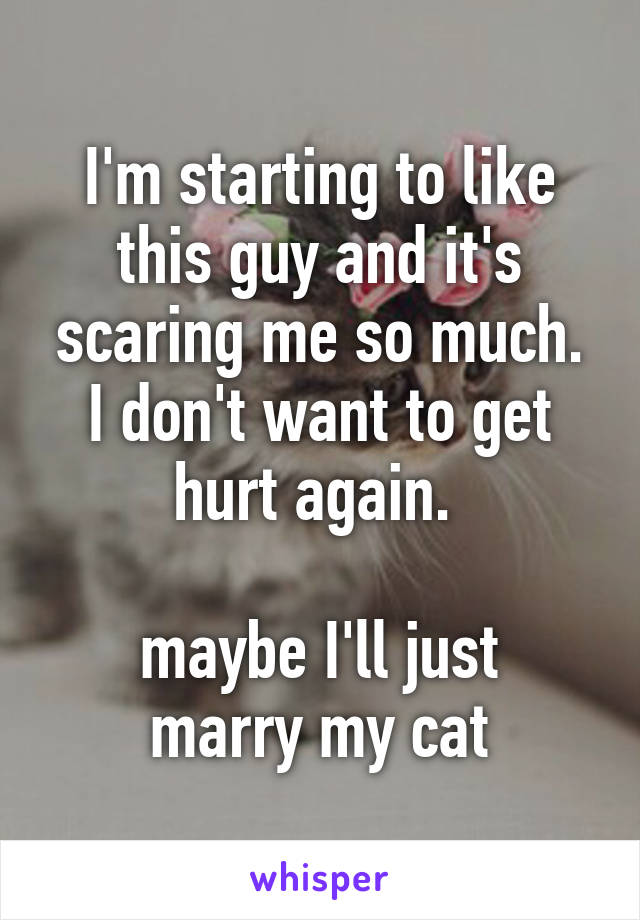 I'm starting to like this guy and it's scaring me so much. I don't want to get hurt again. 

maybe I'll just marry my cat