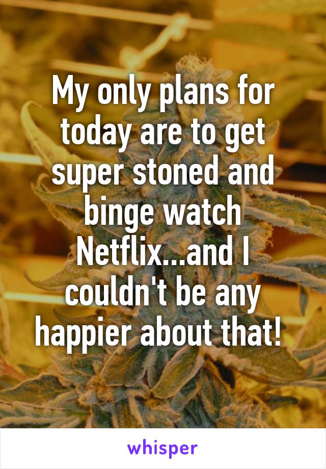 My only plans for today are to get super stoned and binge watch Netflix...and I couldn't be any happier about that! 
