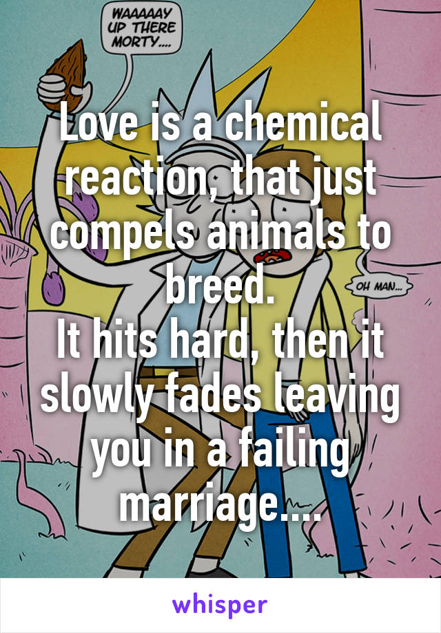 Love is a chemical reaction, that just compels animals to breed.
It hits hard, then it slowly fades leaving you in a failing marriage....