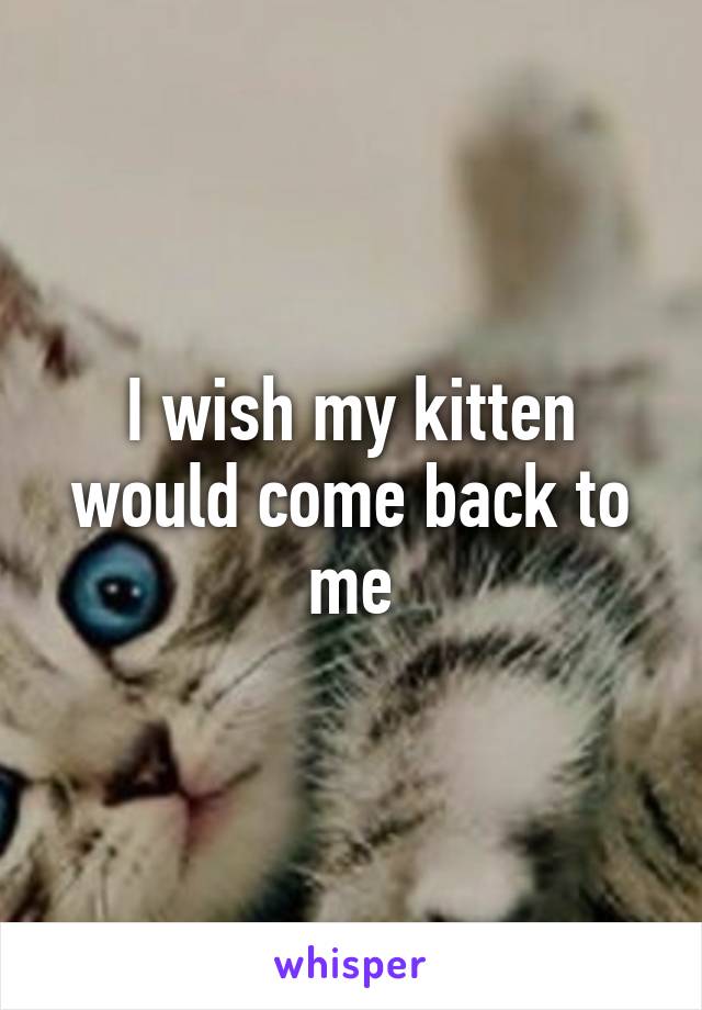 I wish my kitten would come back to me