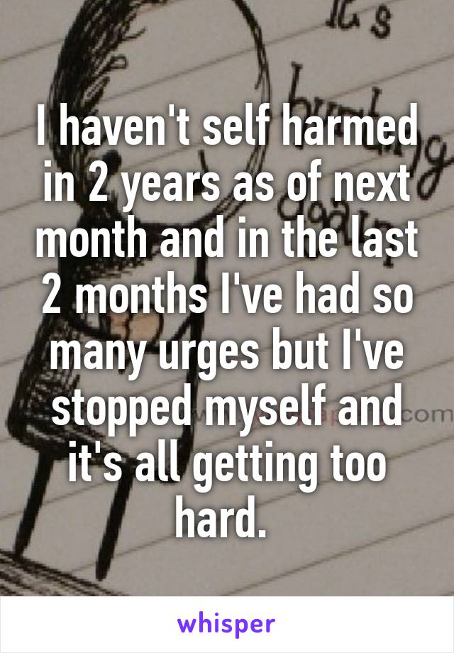 I haven't self harmed in 2 years as of next month and in the last 2 months I've had so many urges but I've stopped myself and it's all getting too hard. 