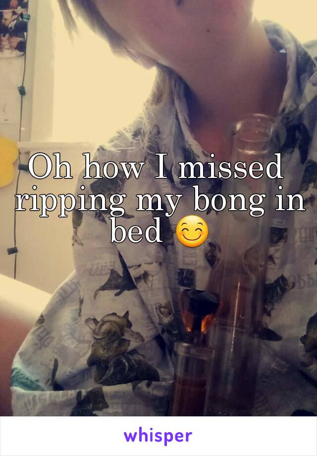 Oh how I missed ripping my bong in bed 😊