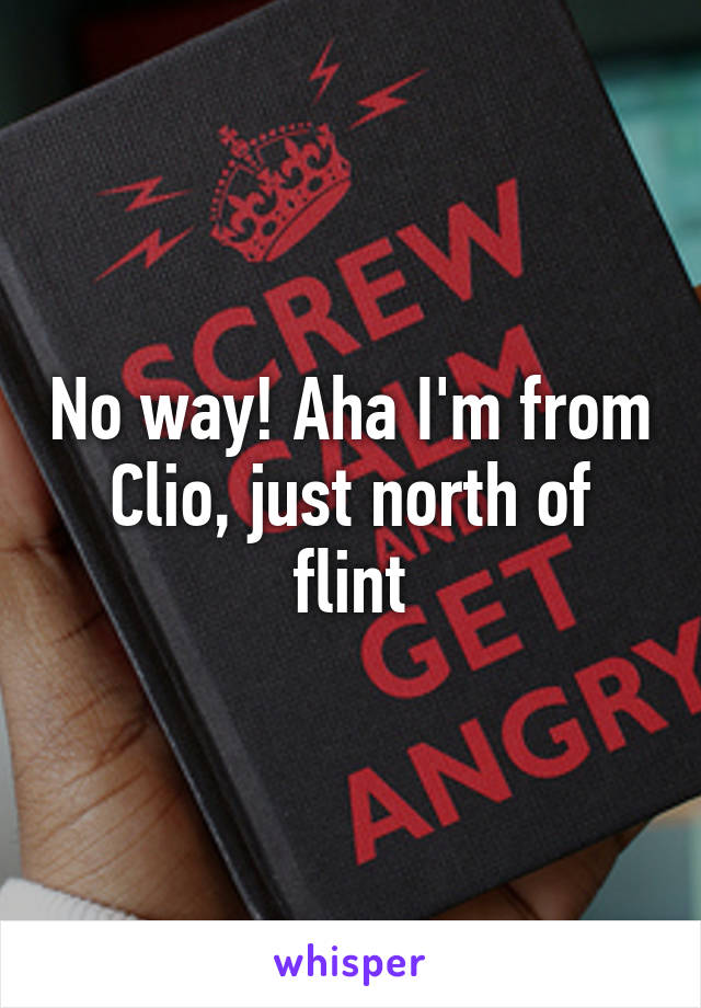 No way! Aha I'm from Clio, just north of flint