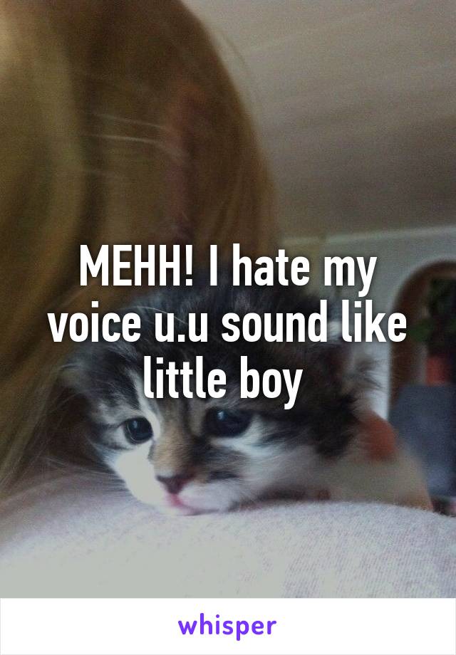 MEHH! I hate my voice u.u sound like little boy 