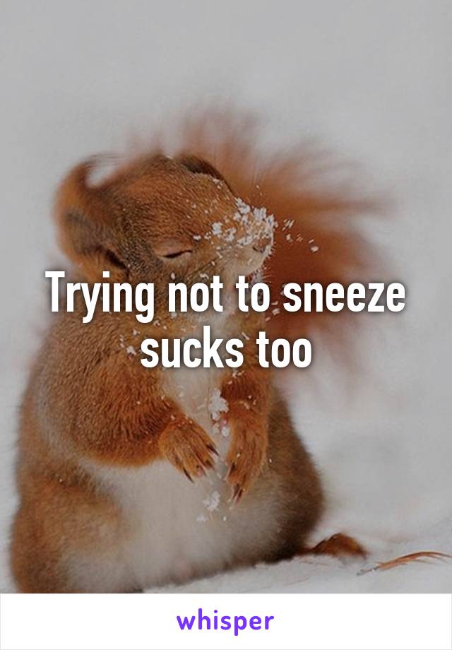 Trying not to sneeze sucks too