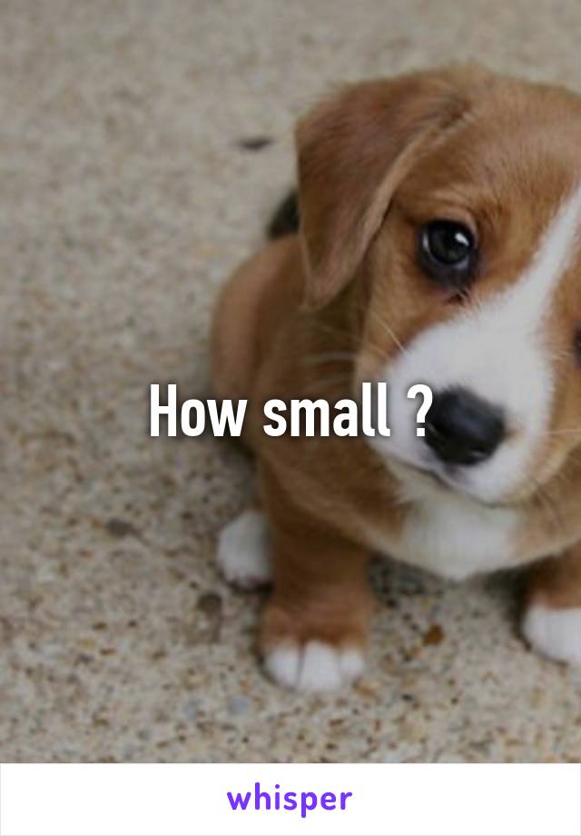 How small ?