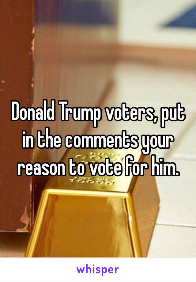 Donald Trump voters, put in the comments your reason to vote for him.