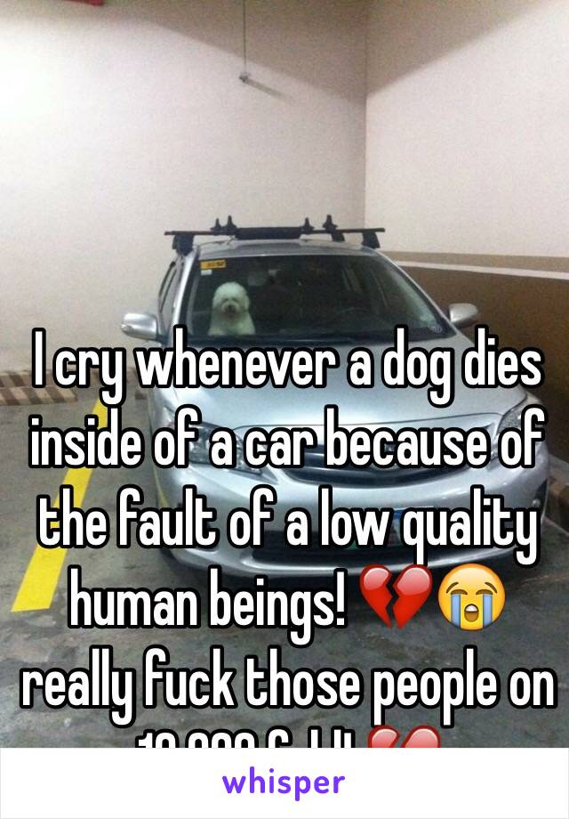 I cry whenever a dog dies inside of a car because of the fault of a low quality human beings! 💔😭 really fuck those people on 10,000 fold! 💔