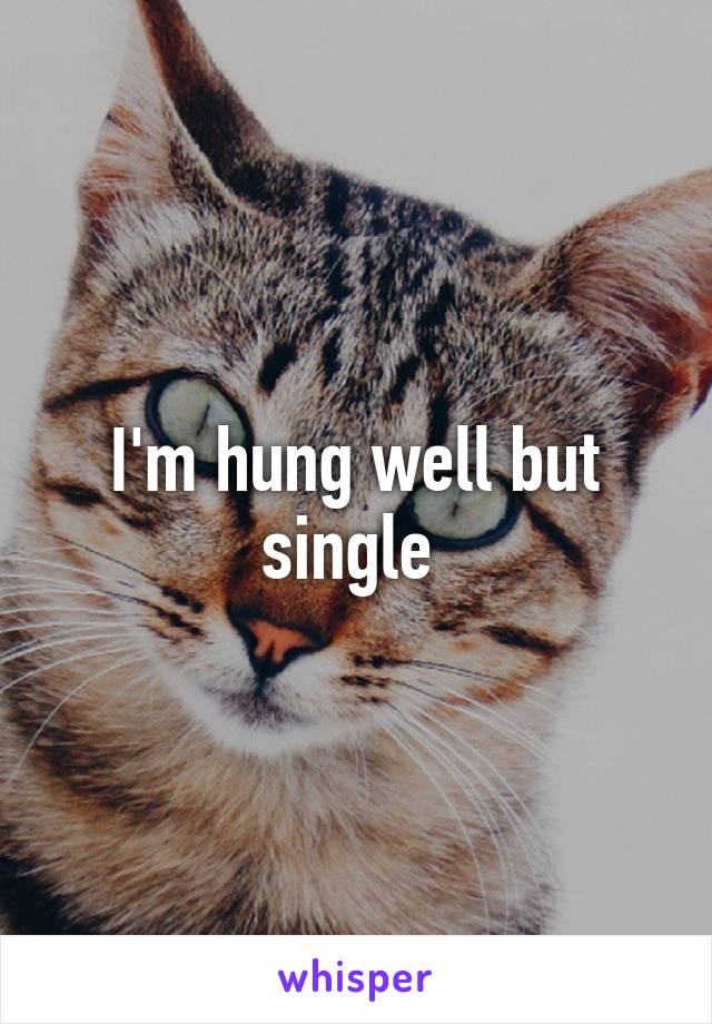 I'm hung well but single 