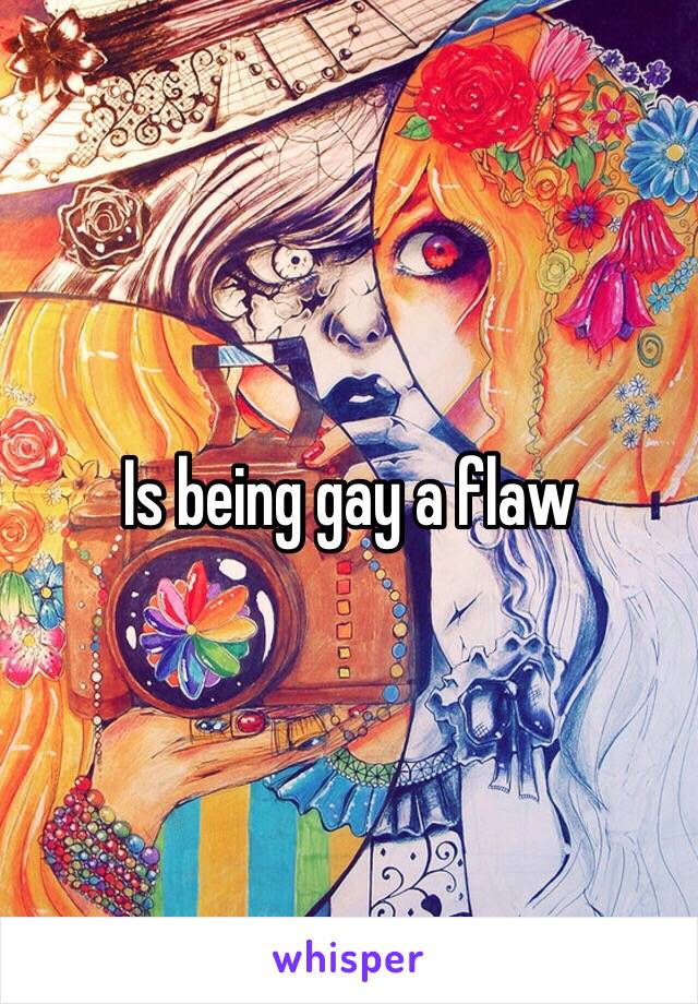 Is being gay a flaw