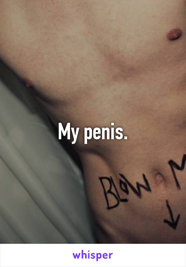 My penis.