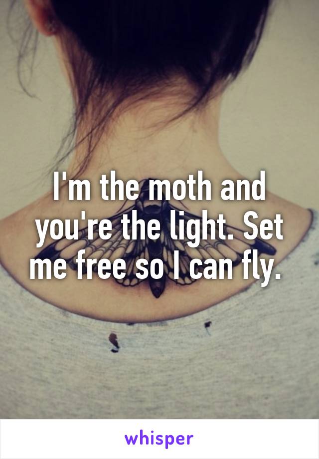 I'm the moth and you're the light. Set me free so I can fly. 