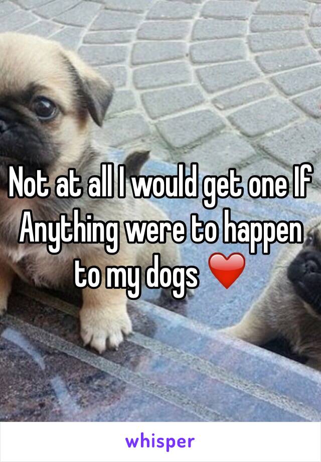 Not at all I would get one If Anything were to happen to my dogs ❤️