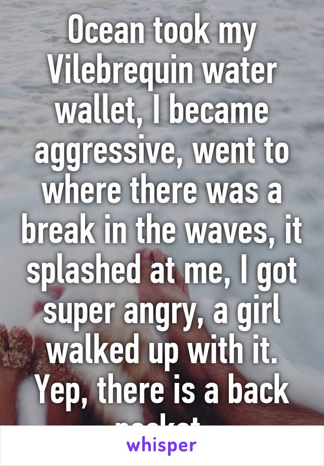 Ocean took my Vilebrequin water wallet, I became aggressive, went to where there was a break in the waves, it splashed at me, I got super angry, a girl walked up with it. Yep, there is a back pocket.