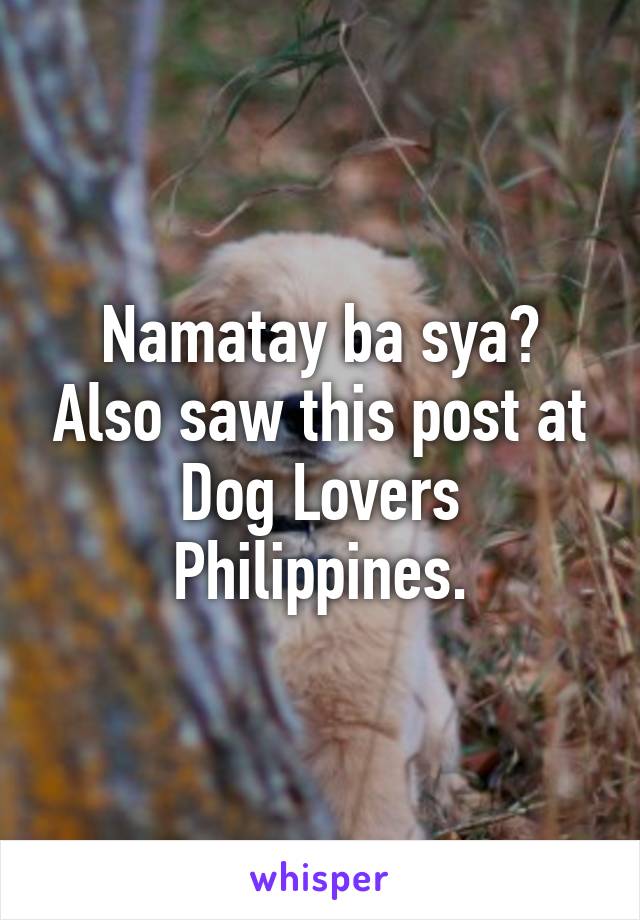 Namatay ba sya? Also saw this post at Dog Lovers Philippines.