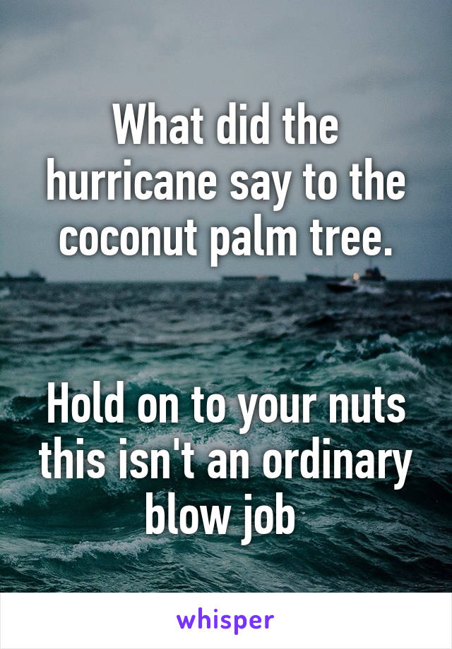 What did the hurricane say to the coconut palm tree.


Hold on to your nuts this isn't an ordinary blow job 