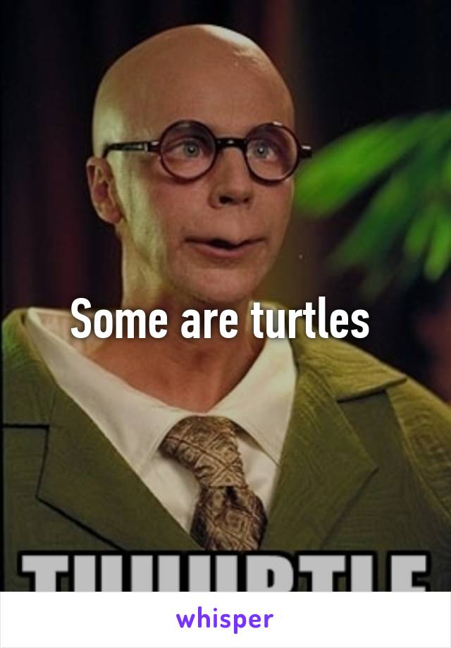 Some are turtles 