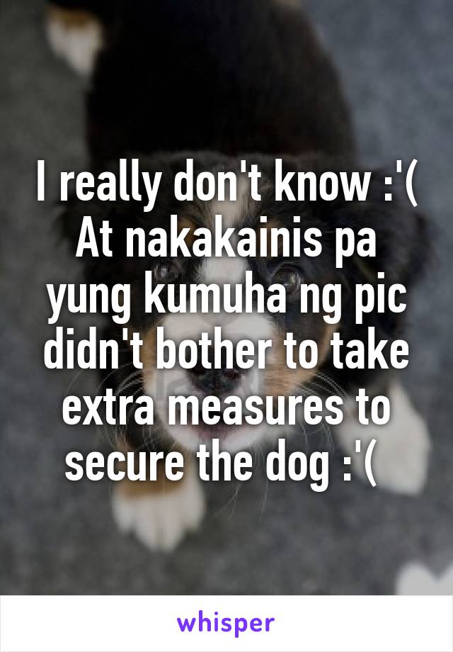 I really don't know :'(
At nakakainis pa yung kumuha ng pic didn't bother to take extra measures to secure the dog :'( 