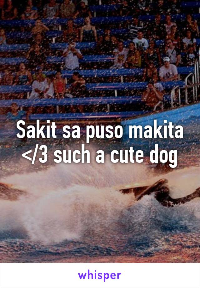 Sakit sa puso makita </3 such a cute dog