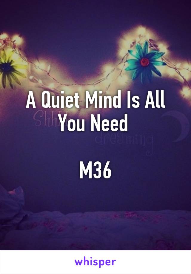 A Quiet Mind Is All You Need 

M36